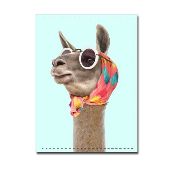 Protège-Passeport Summer Lama coloré